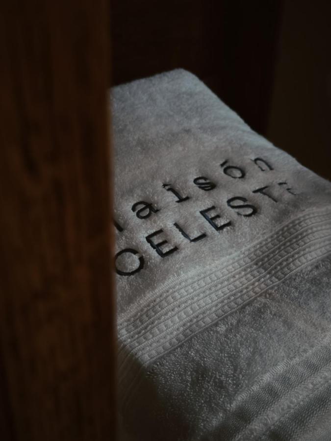 Maison Celeste Mexico City Luaran gambar